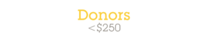 Text on a white background reads "Donors" in large yellow letters above a gray less than symbol, followed by "$250" in gray, indicating donors who contributed less than $250.